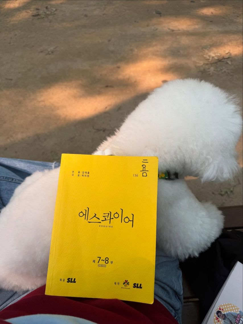 정채연 인별
