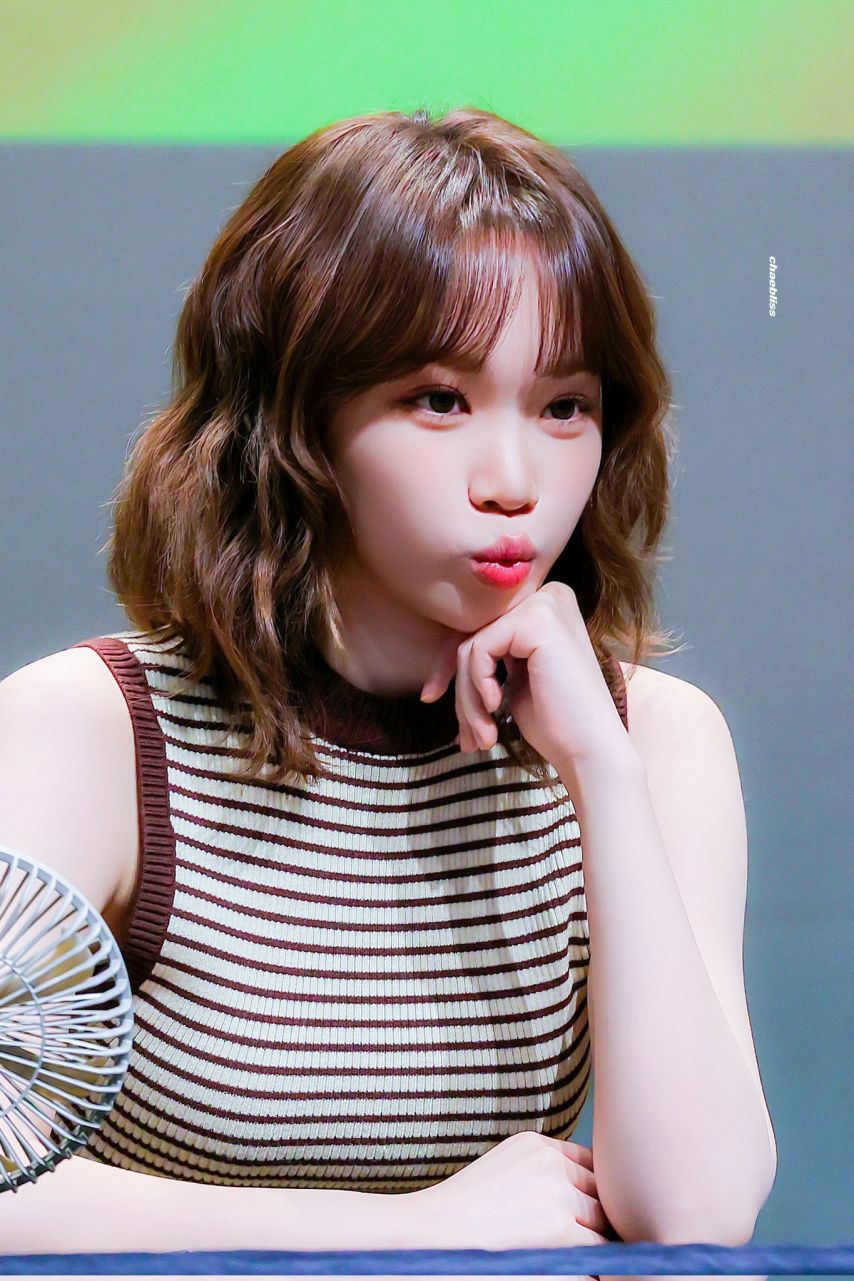 르세라핌 김채원