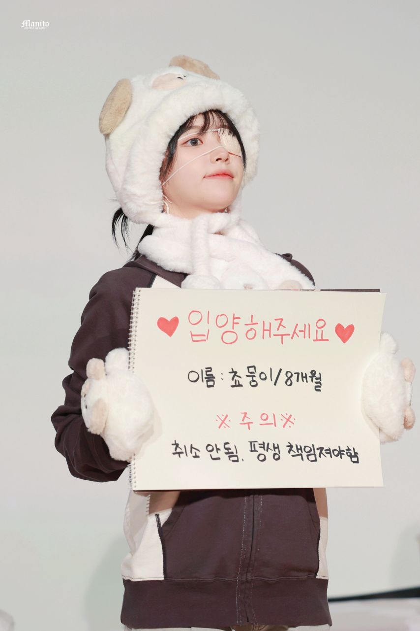 QWER 쵸단 분양 완료