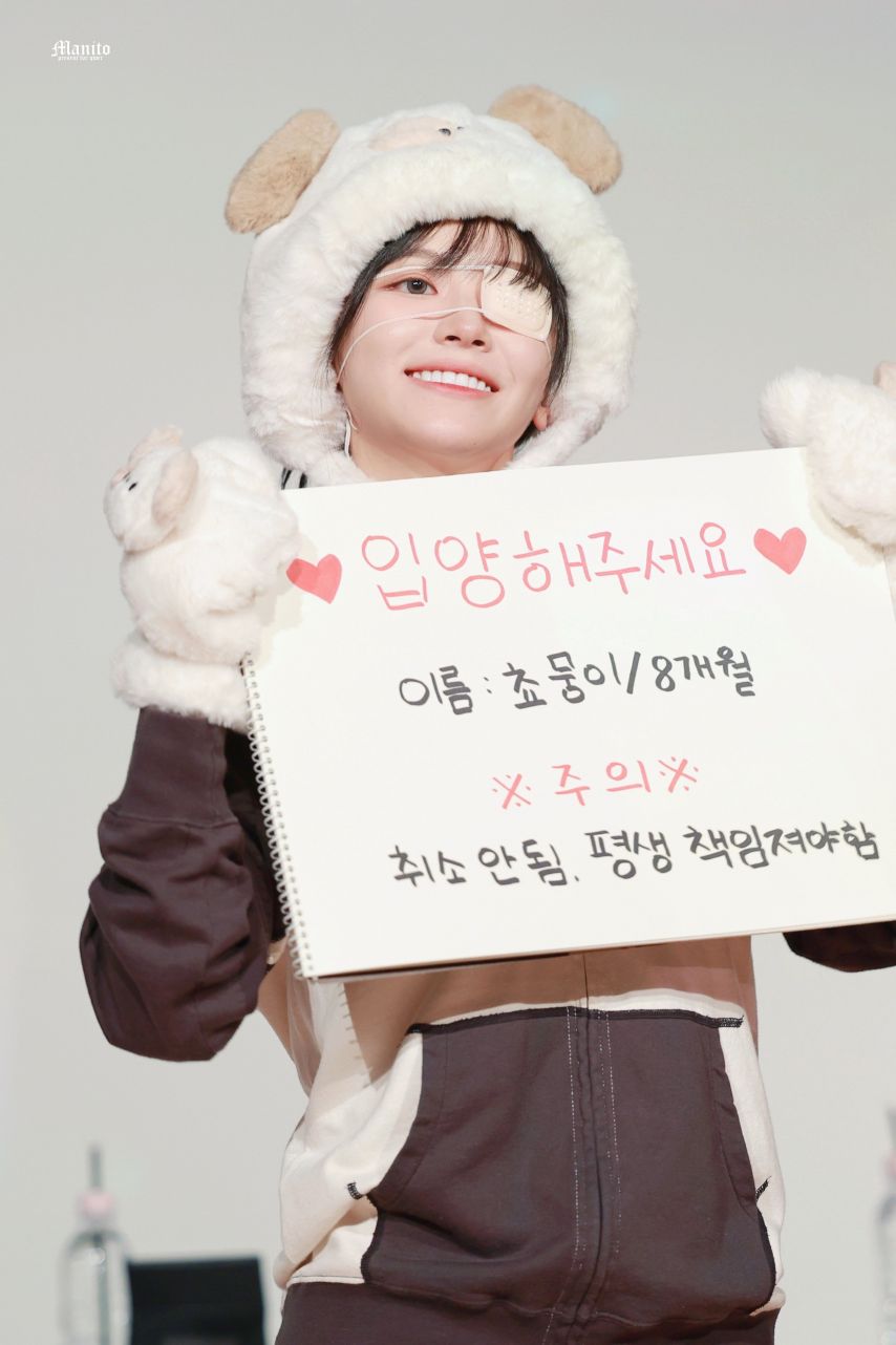 QWER 쵸단 분양 완료