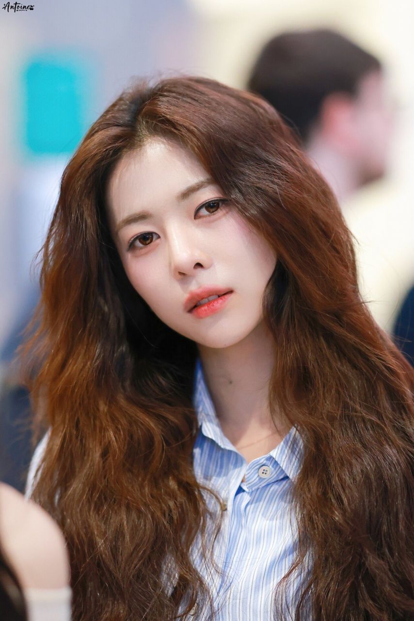 트리플에스 다현