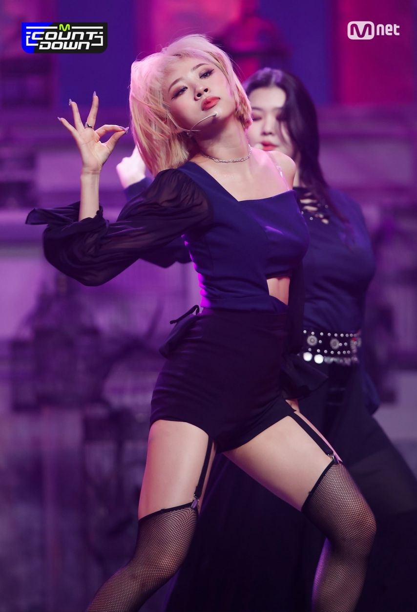 퍼플키스 도시