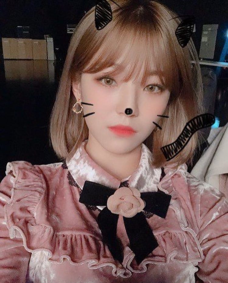 프로미스나인 백지헌
