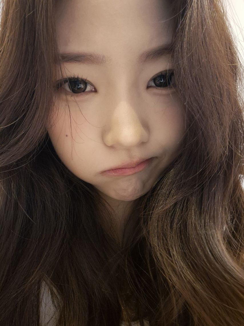 하츠투하츠 스텔라