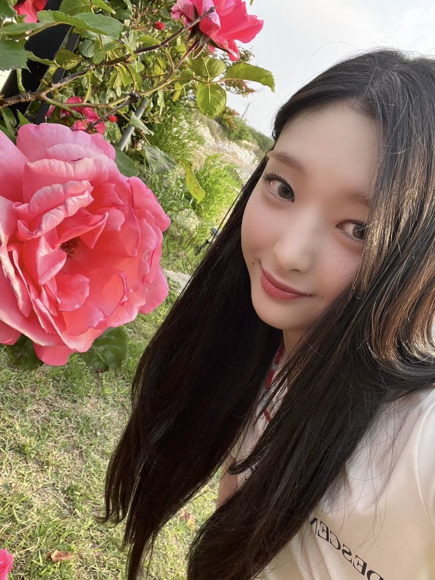 힛지스 혜린