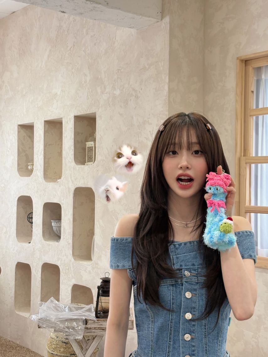 츄 인별 등