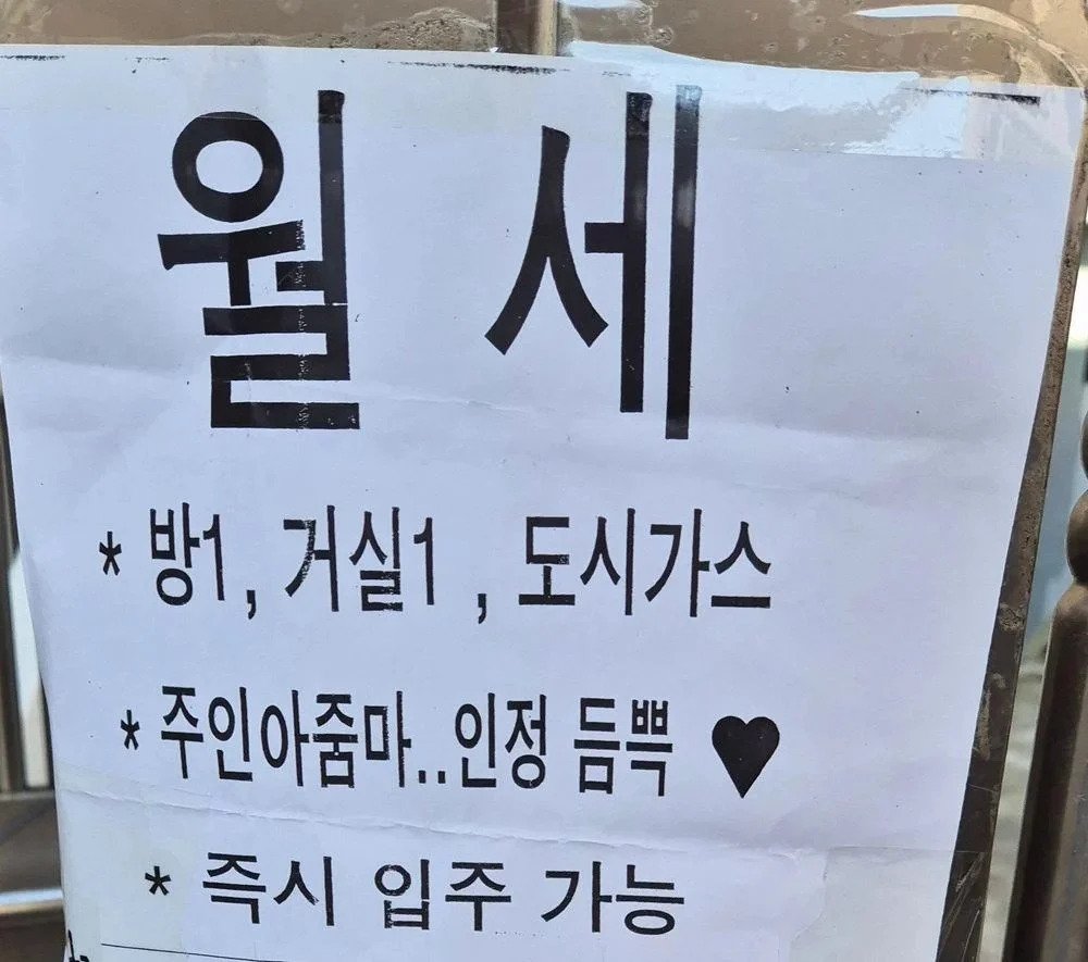 월세집 호불호