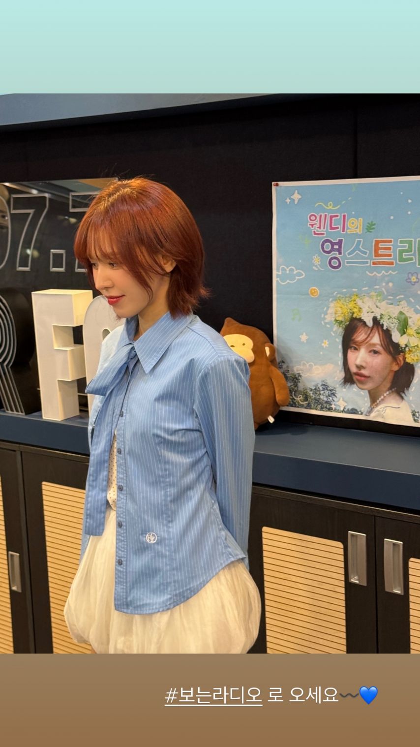 레드벨벳 웬디