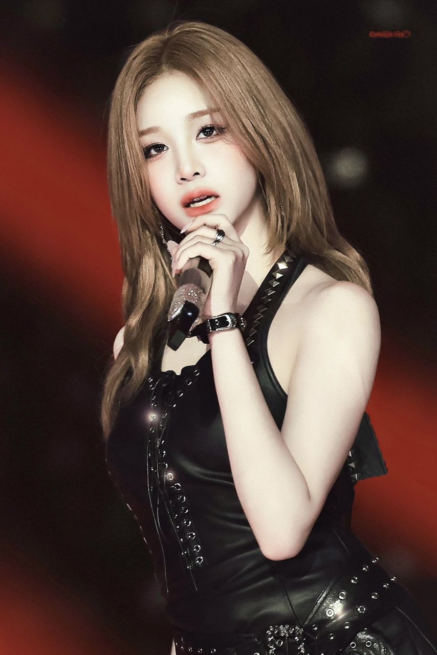 베이비몬스터 파리타