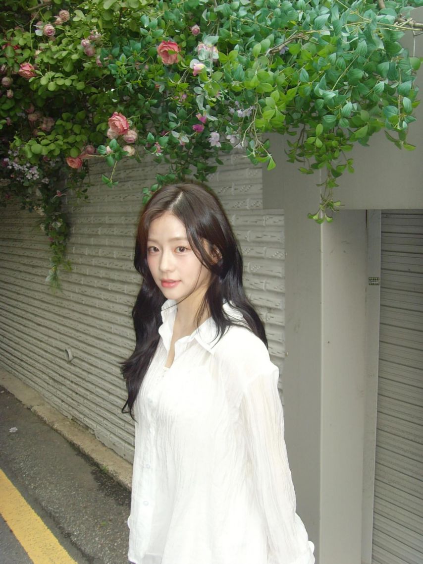 채서안