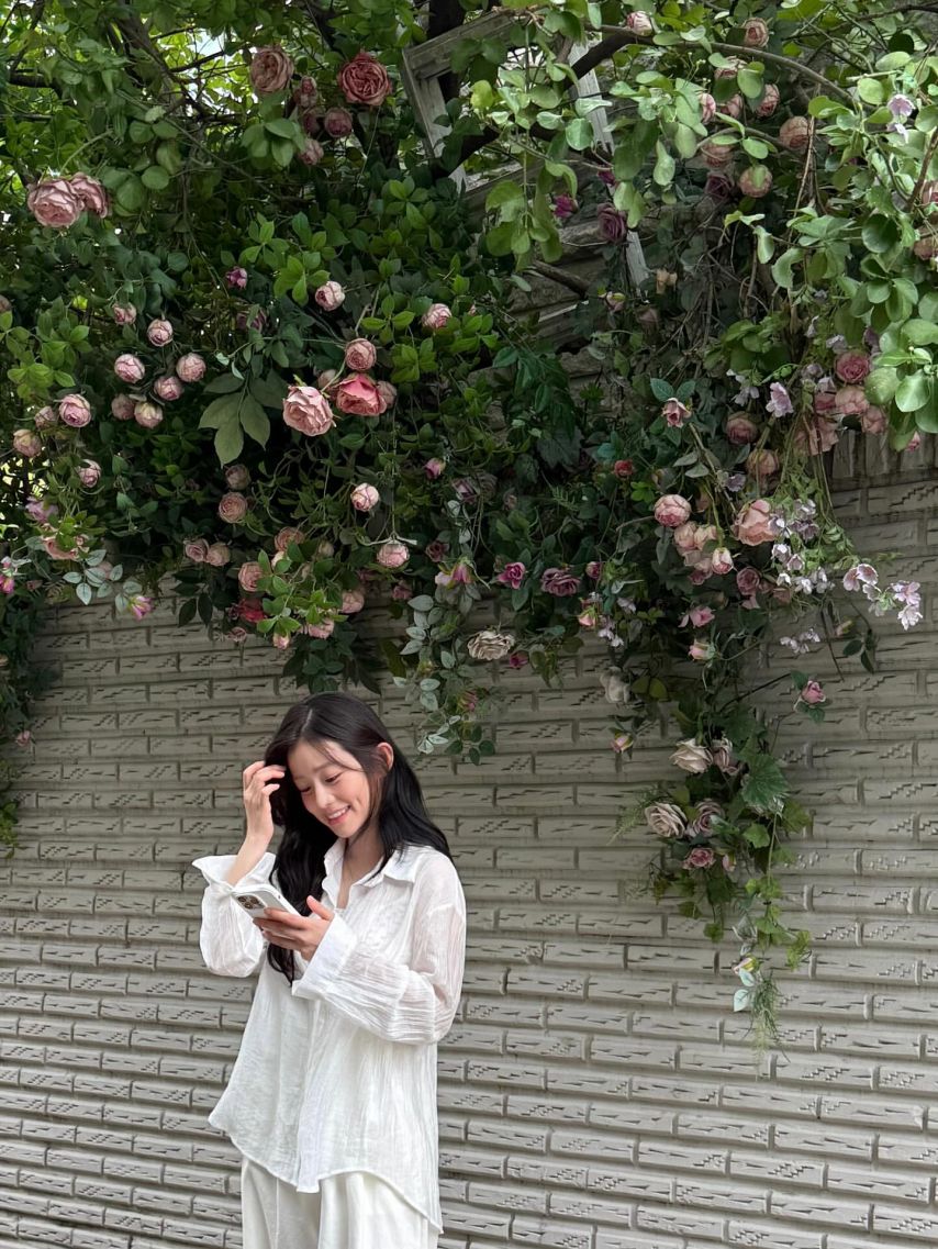 채서안