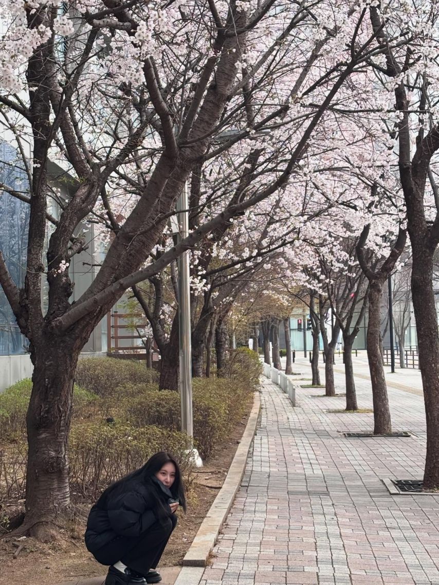 이채연