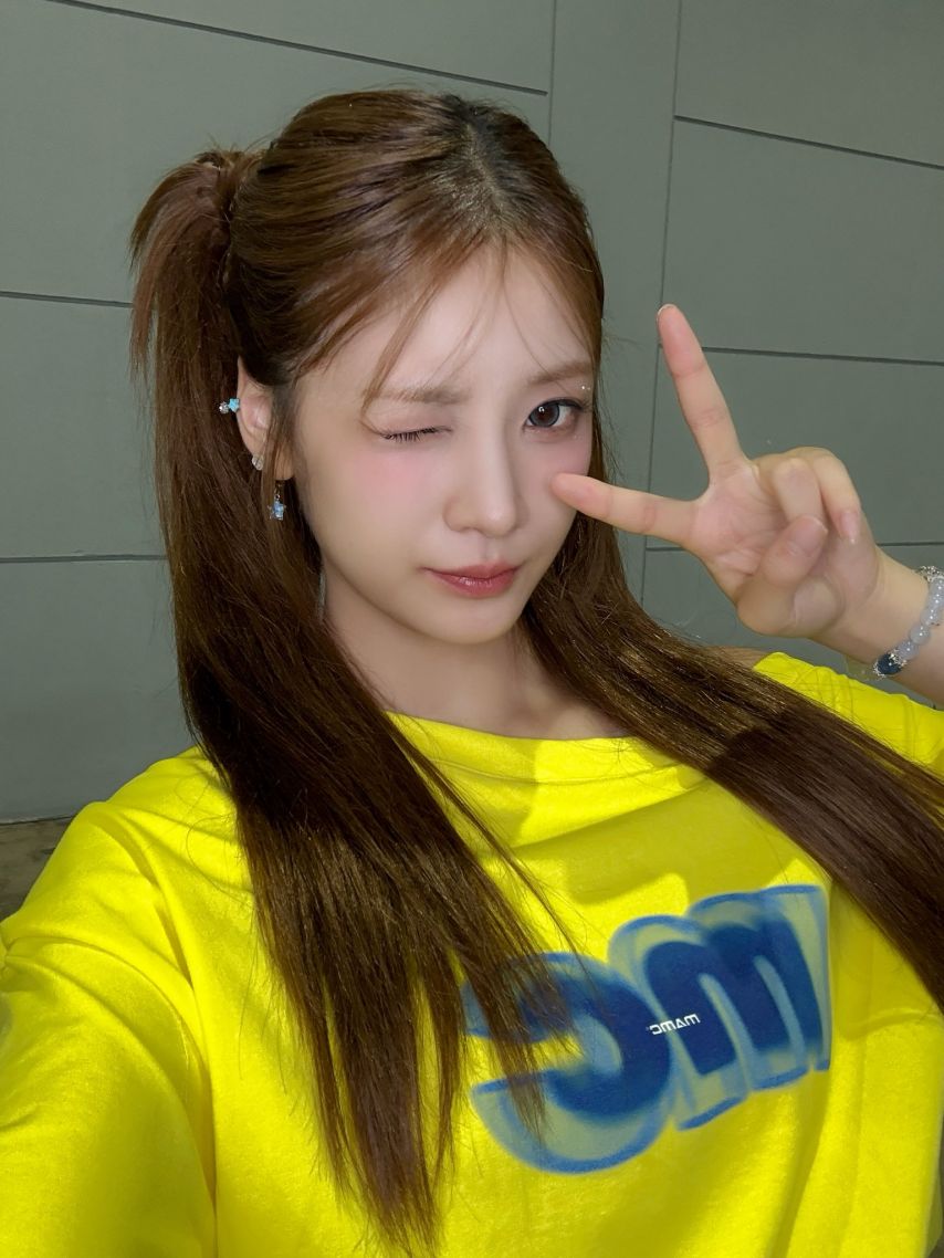 힛지스