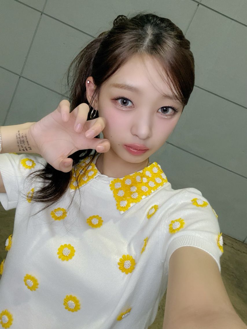 힛지스