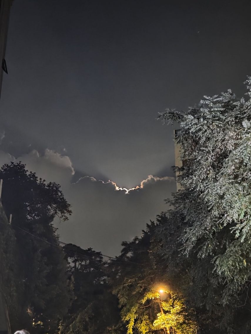 르세라핌 김채원