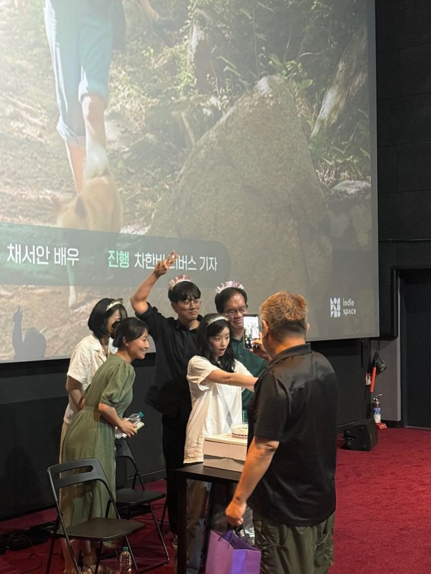 채서안