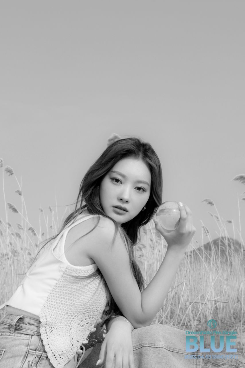 드림노트 미소
