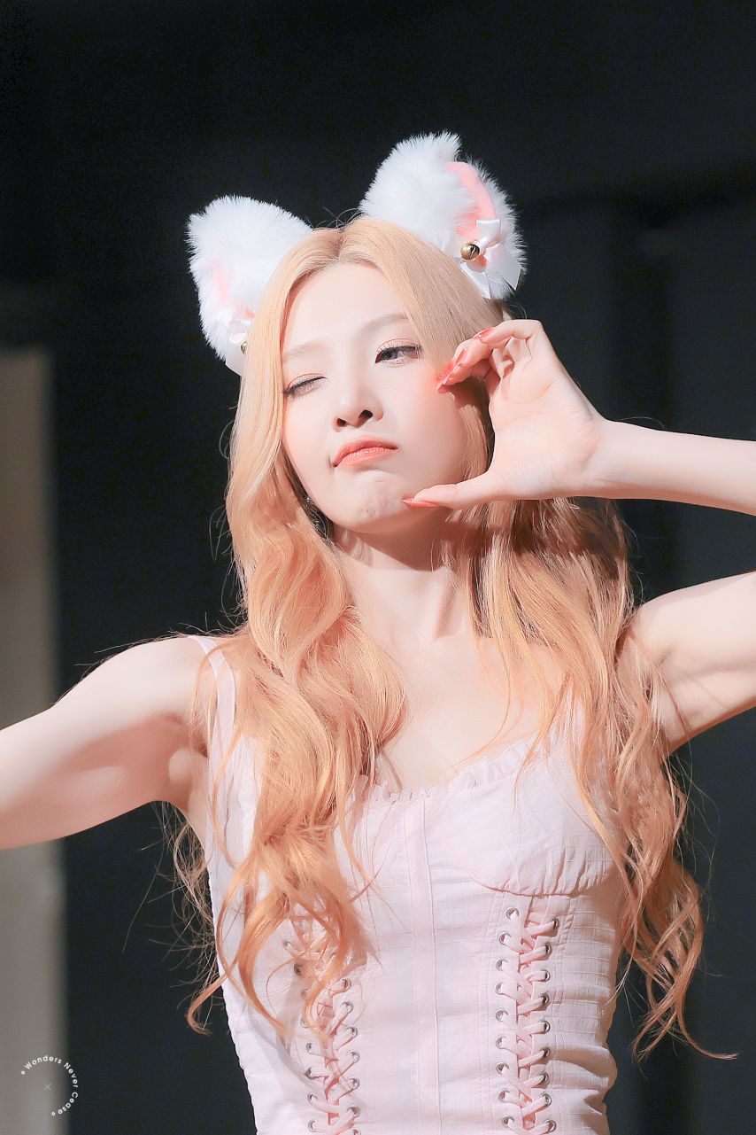 조이 (레드벨벳)