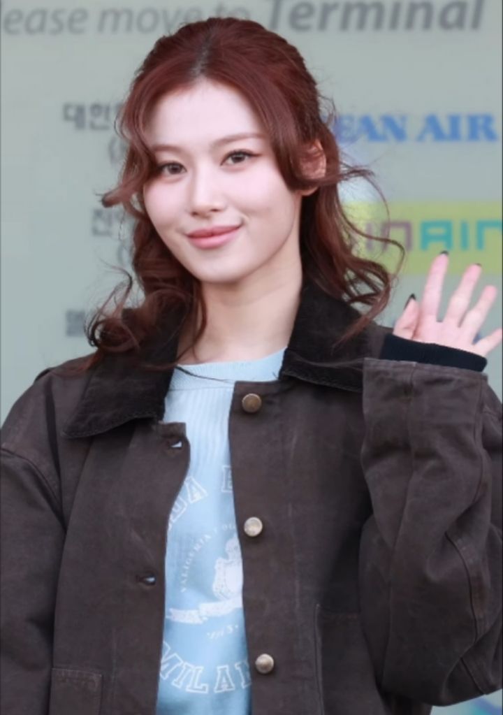 트와이스 사나.jpg