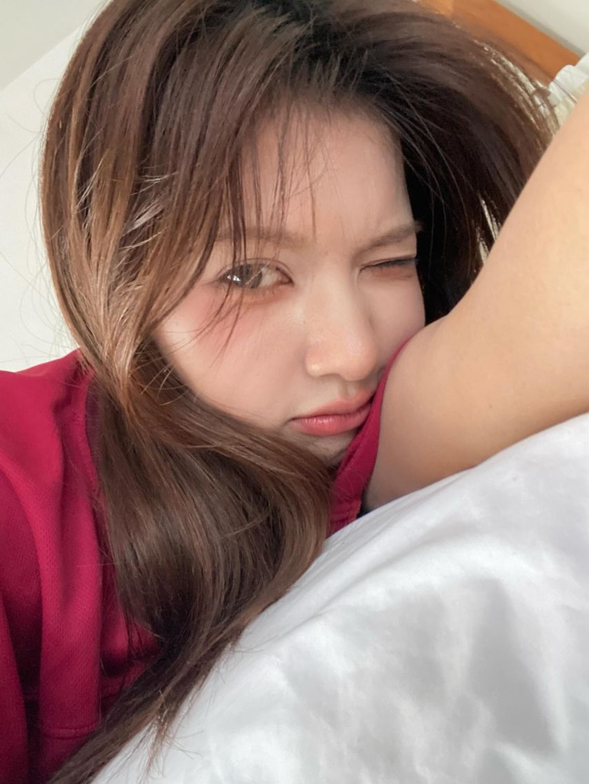 세이마이네임 카니