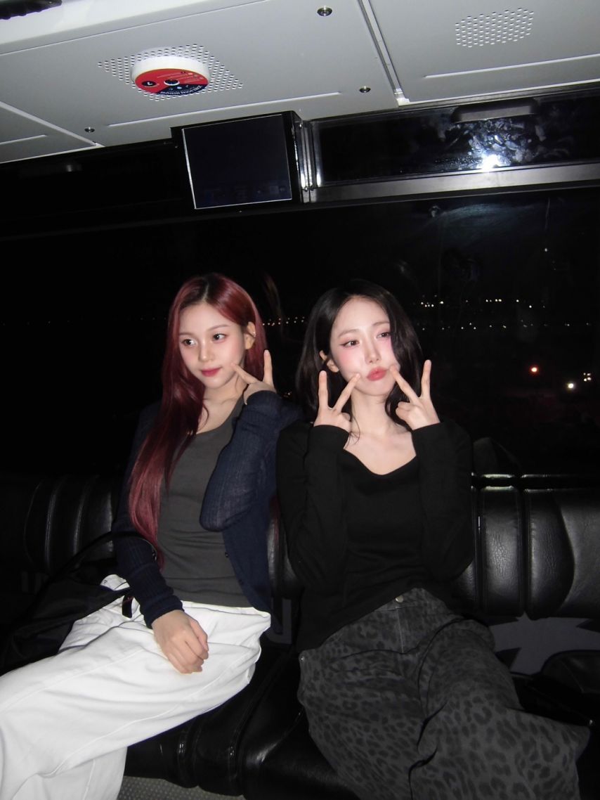 비비지