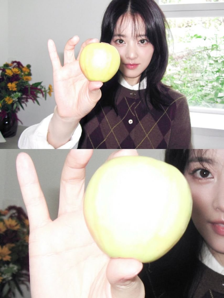 박보영