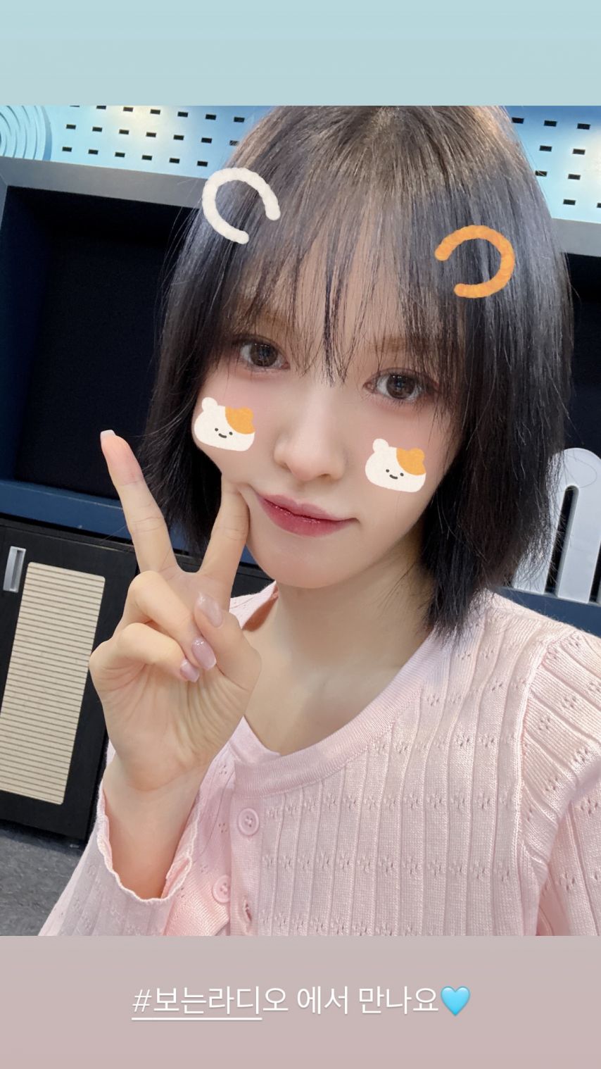 레드벨벳 웬디