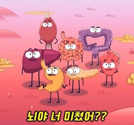 36시간 단식하면 몸에 나타나는 영향