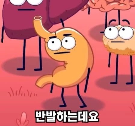 36시간 단식하면 몸에 나타나는 영향