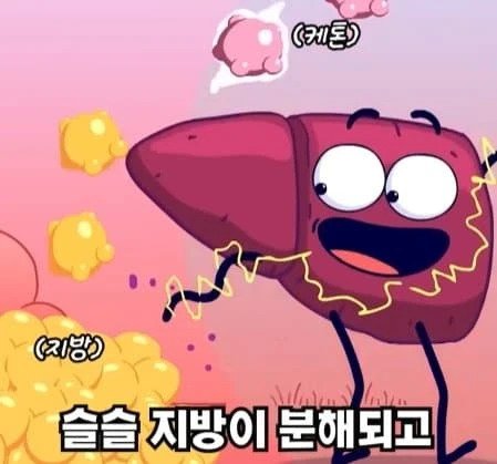 36시간 단식하면 몸에 나타나는 영향