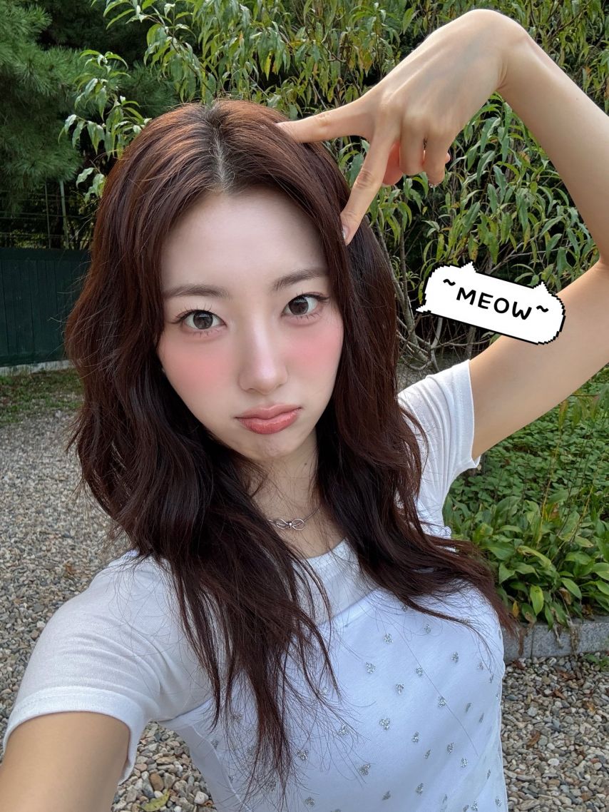 하이키