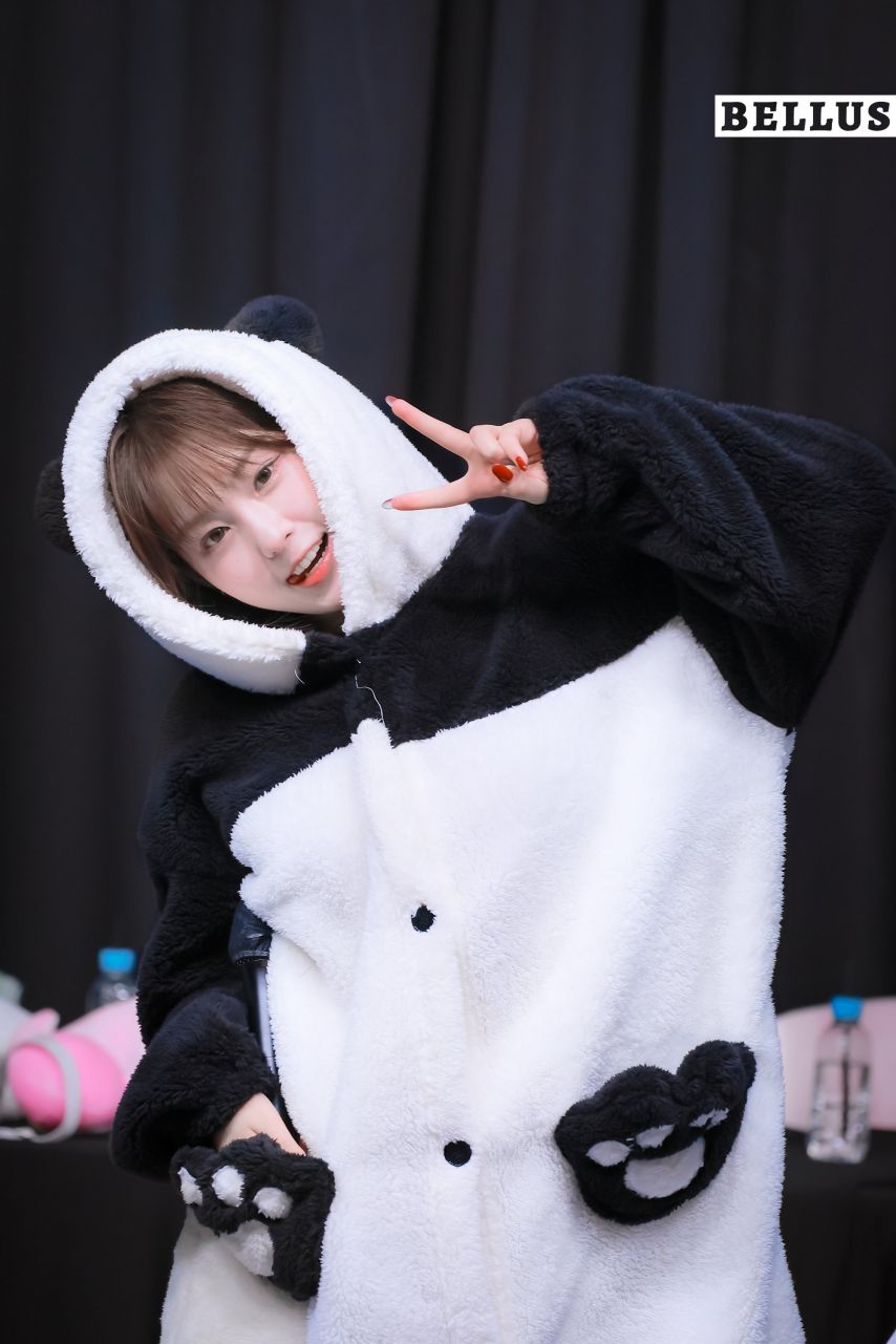 케플러 김채현