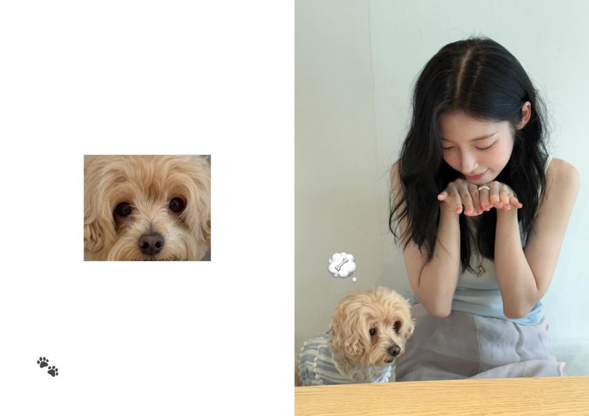 아린_ 효정 오마이걸 인별