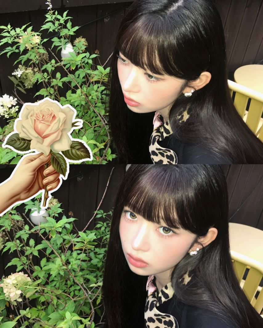 아이브 레이