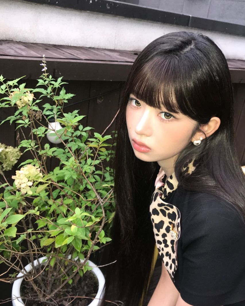 아이브 레이