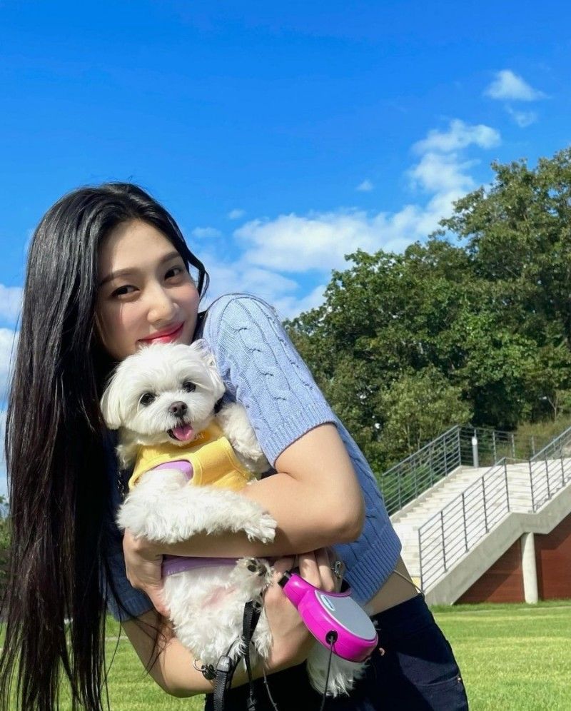 레드벨벳 조이