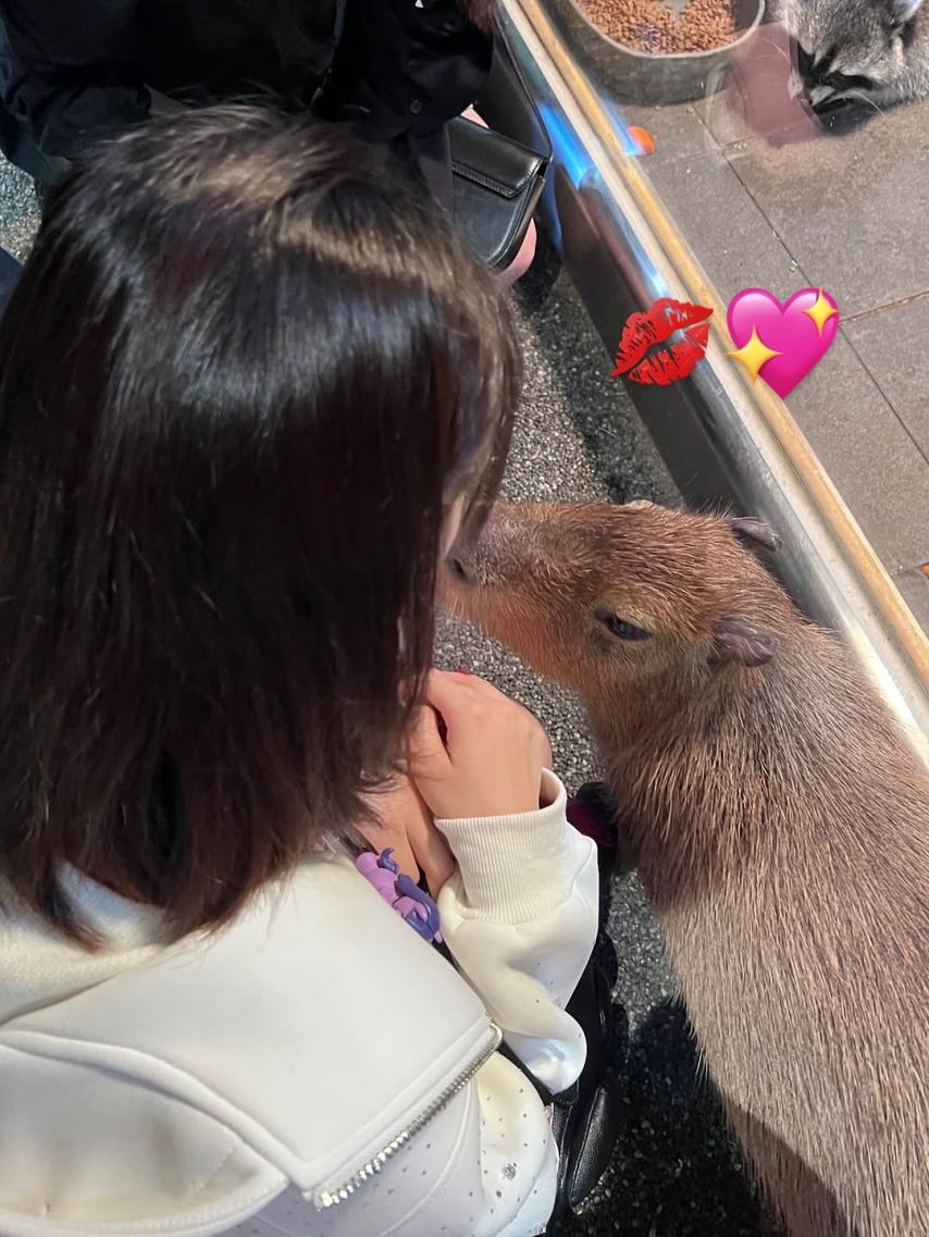 하이키 휘서