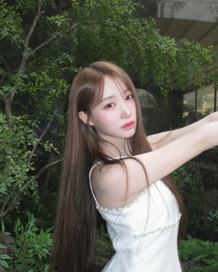 세이마이네임 메이