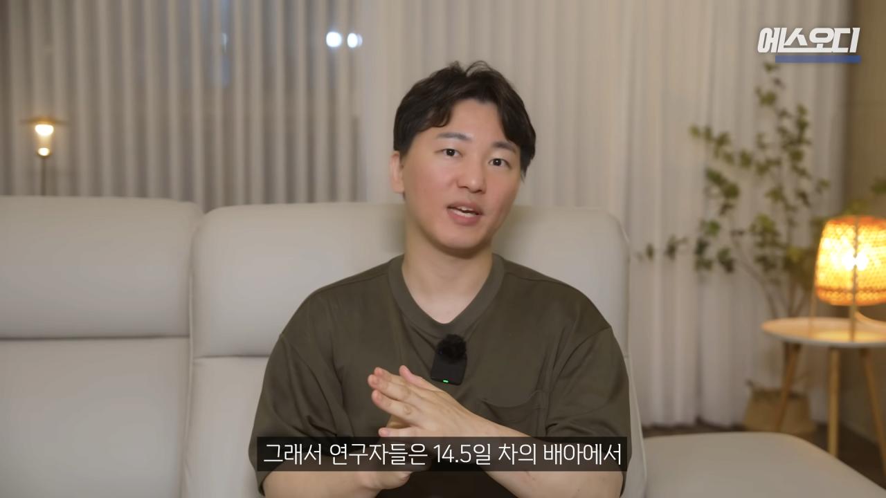 일본의 치아 재생 연구보다 더 주목 받고 있다는 영국 연구