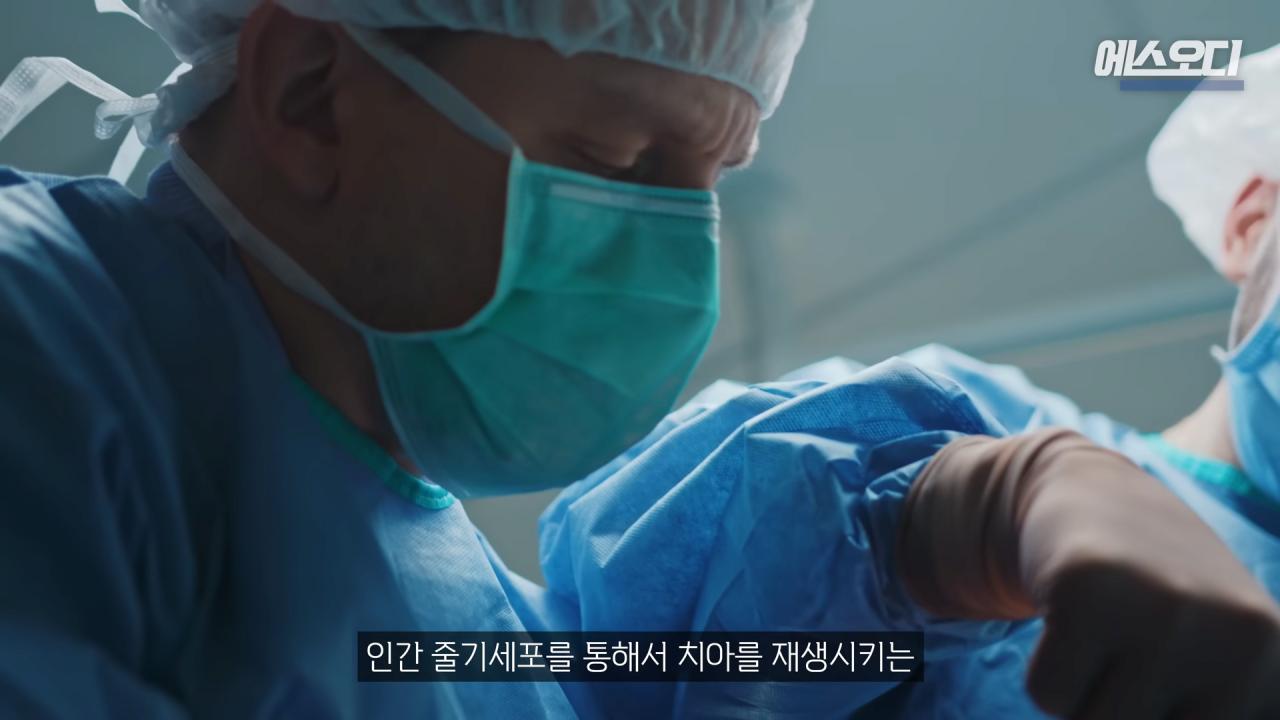 일본의 치아 재생 연구보다 더 주목 받고 있다는 영국 연구