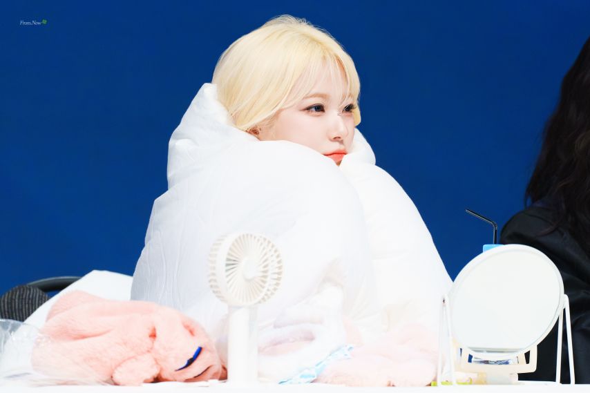 프로미스나인 백지헌