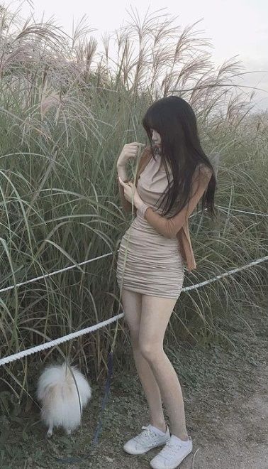 모델 순느