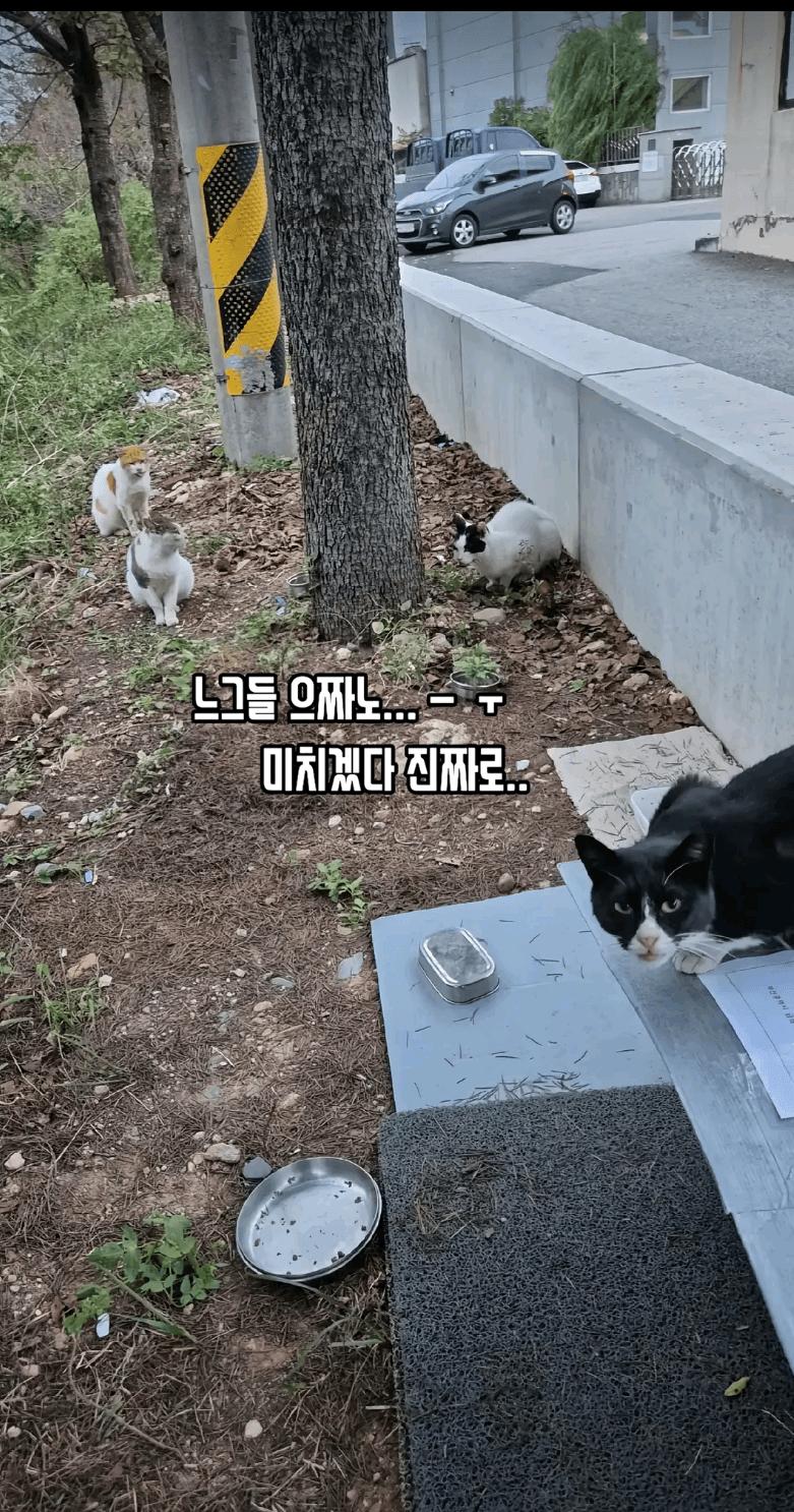 부산 공무원에게 분노한 여성