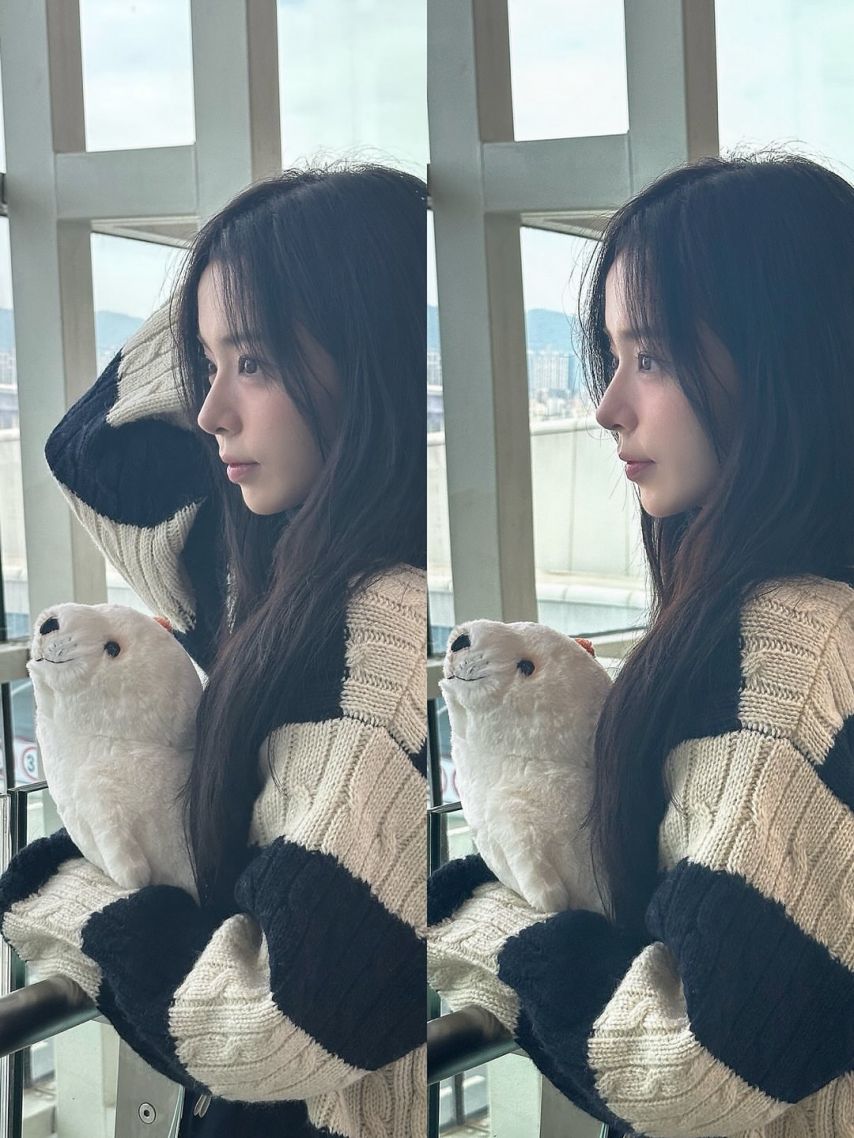 세이마이네임 슈이