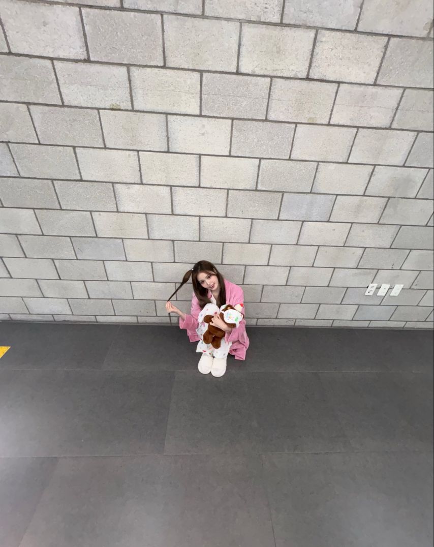 이즈나 정세비