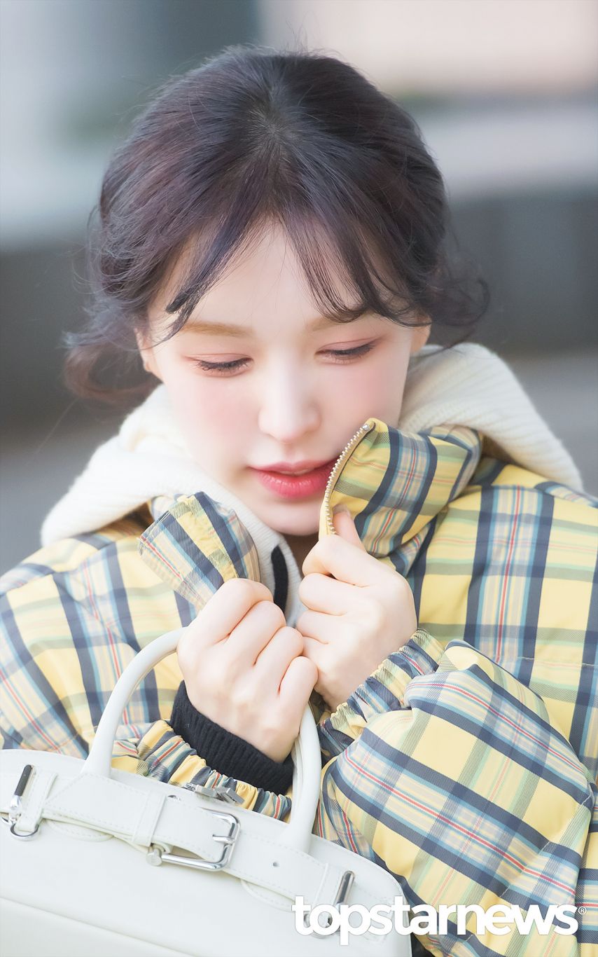 레드벨벳 웬디