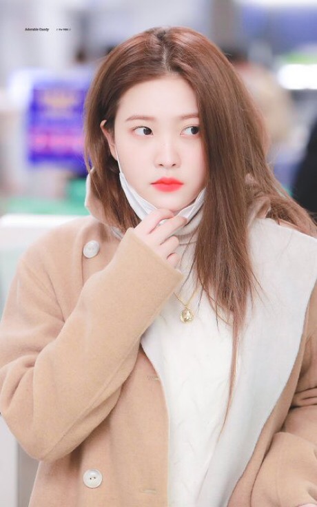 레드벨벳 예리