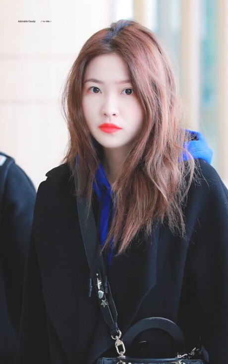 레드벨벳 예리