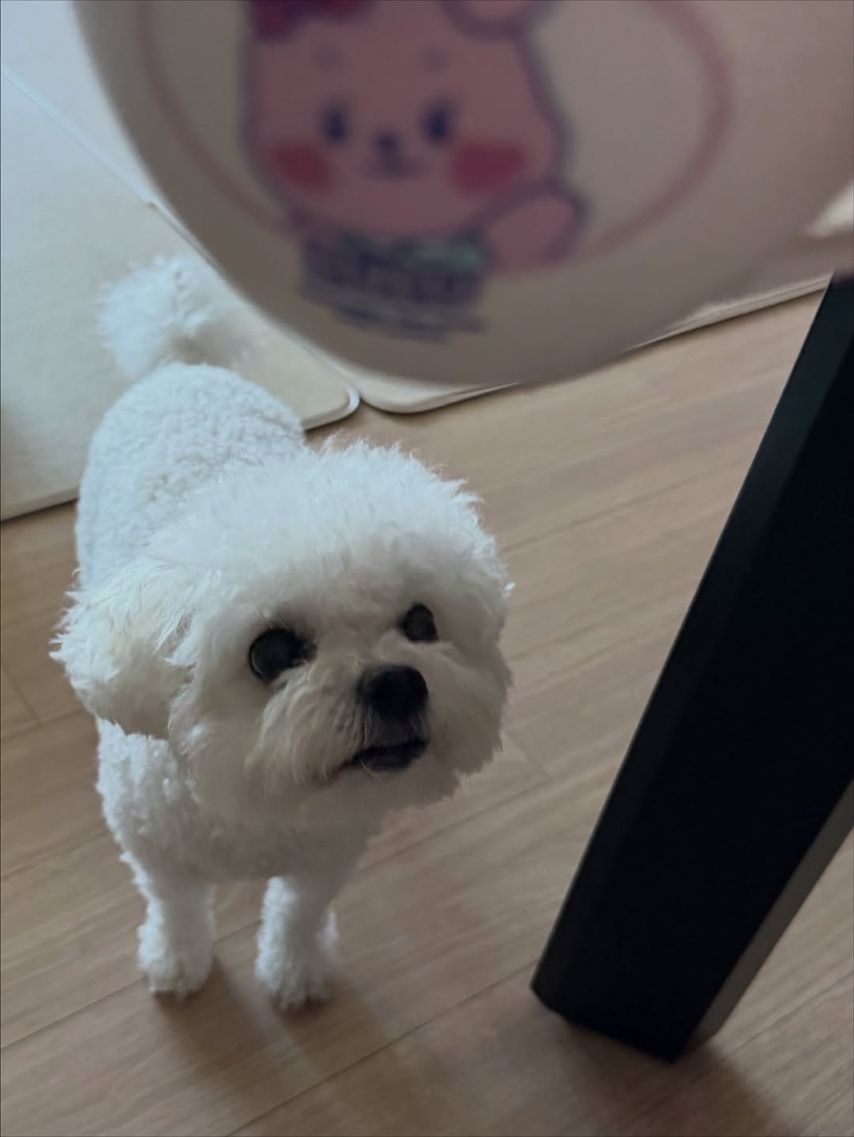 브브걸 은지 SNS
