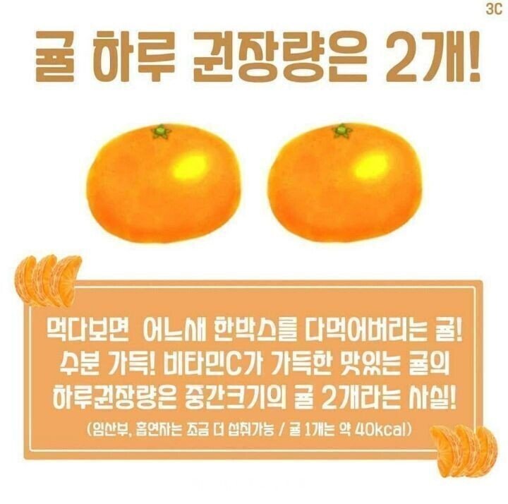 귤 하루 권장량